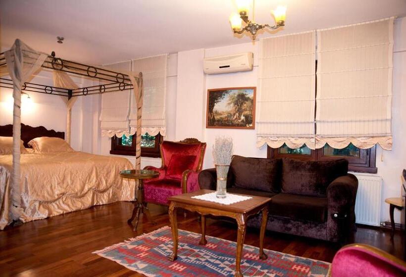 キングサイドベッドのスタンダードワンルーム, Villa Sphendone Suites Istanbul