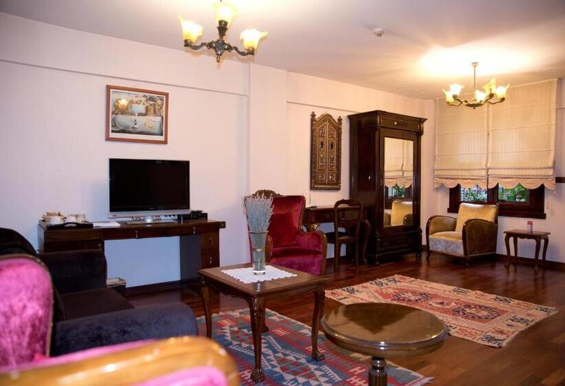 キングサイドベッドのスタンダードワンルーム, Villa Sphendone Suites Istanbul