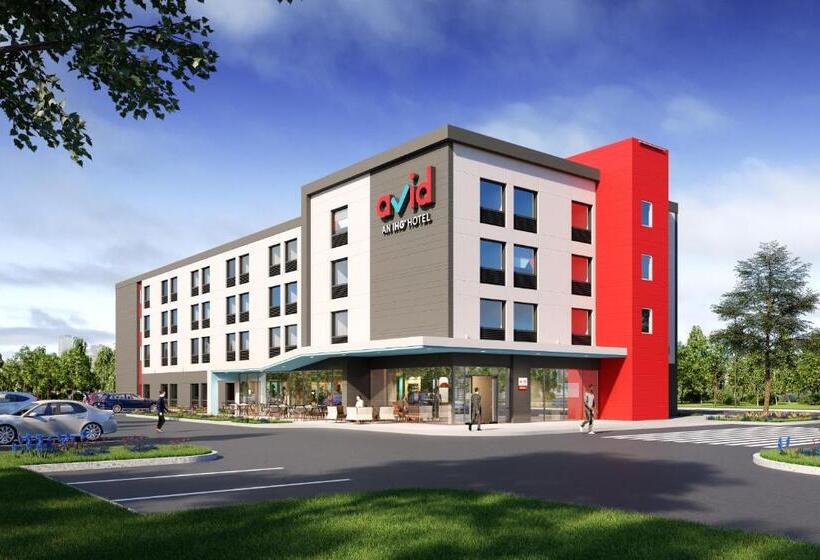 장애인을 위한 킹사이즈 침대 스탠다드 룸, Avid Hotels   Chicago O Hare   Des Plaines