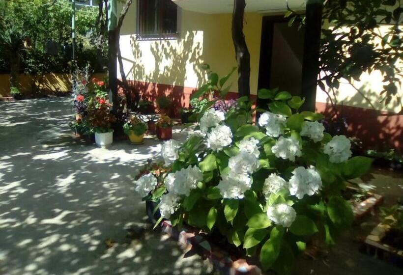 Семейный Номер, H&a Guest House