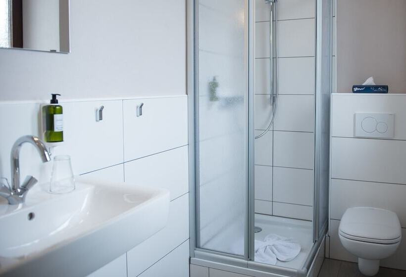 غرفة قياسية, Parkhotel Schillerhain