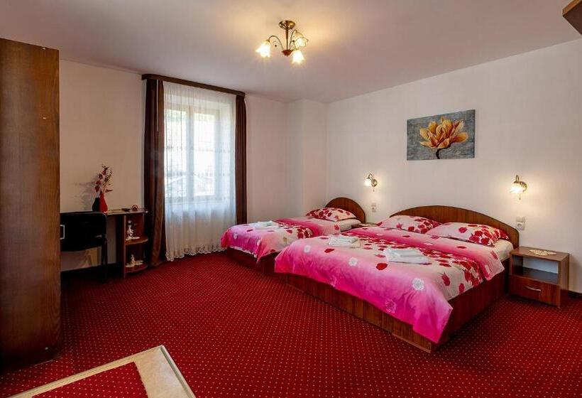 آپارتمان سوپریور 1 خوابه, Casa Steluta