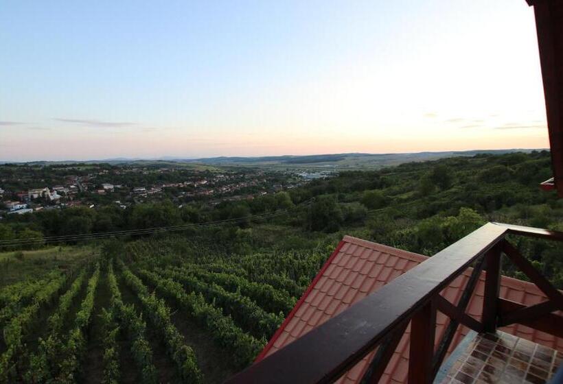 Номер Superior Вид на Город, Panorama Cehu Silvaniei