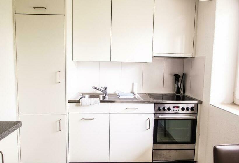 Апартаменты 1 Спальня, City Stay   Ringstrasse