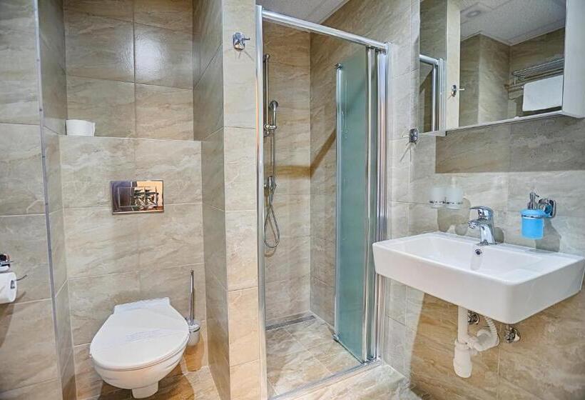 高级单人间, Ensana Spa Smrdáky