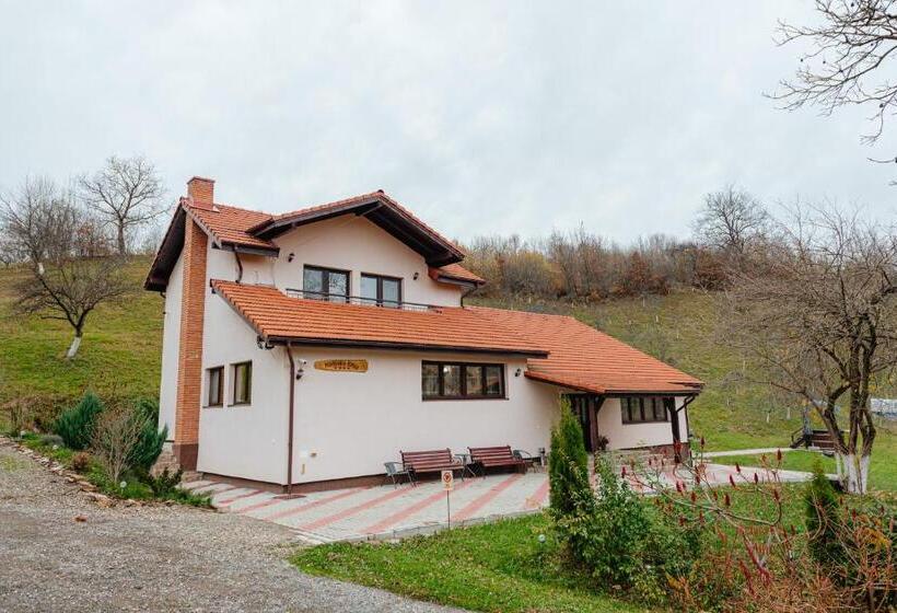 1침실 수피리어 빌라, Pensiunea Ioana