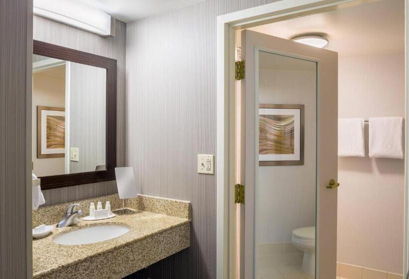 Номер Стандарт 2 Двуспальные Кровати, Courtyard Providence Downtown