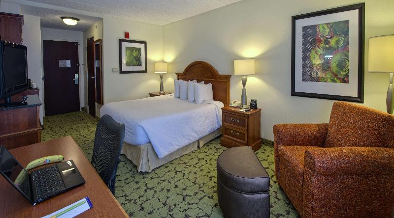 스탠다드 룸 킹사이즈 침대, Hilton Garden Inn Auburn/opelika