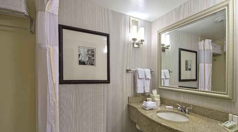 스탠다드 룸 킹사이즈 침대, Hilton Garden Inn Auburn/opelika