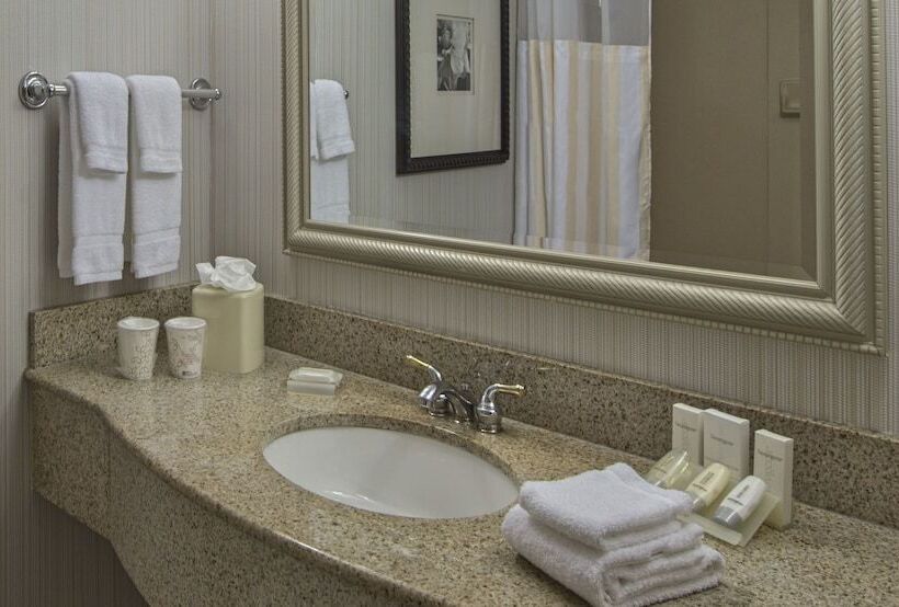 스탠다드 룸, Hilton Garden Inn Auburn/opelika