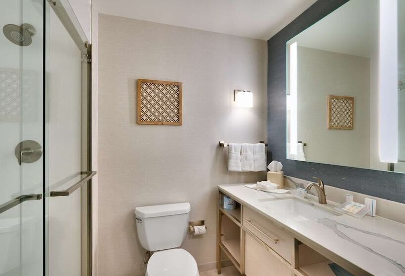 Номер Стандарт Двуспальная Кровать, Hilton Garden Inn Idaho Falls