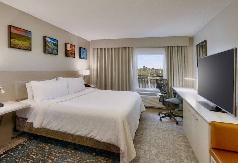 Номер Стандарт Двуспальная Кровать, Hilton Garden Inn Idaho Falls