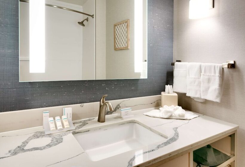 Номер Стандарт, Hilton Garden Inn Idaho Falls