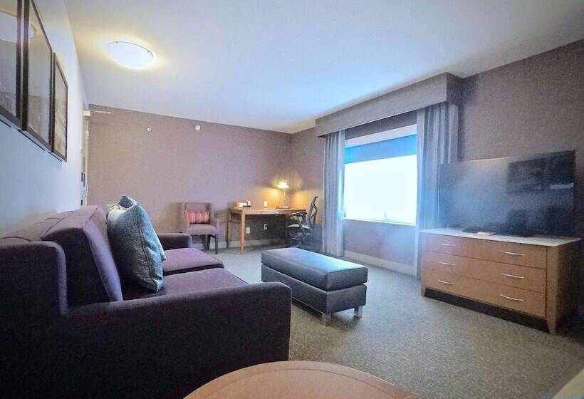 Люкс Повышенной Комфортности, Hilton Garden Inn Des Moines West