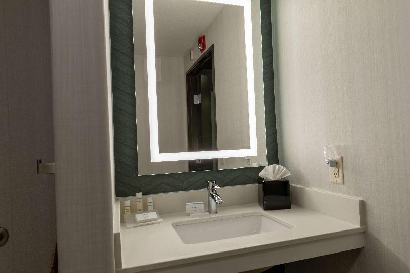 Habitació Estàndard Llit King, Hilton Garden Inn Des Moines West