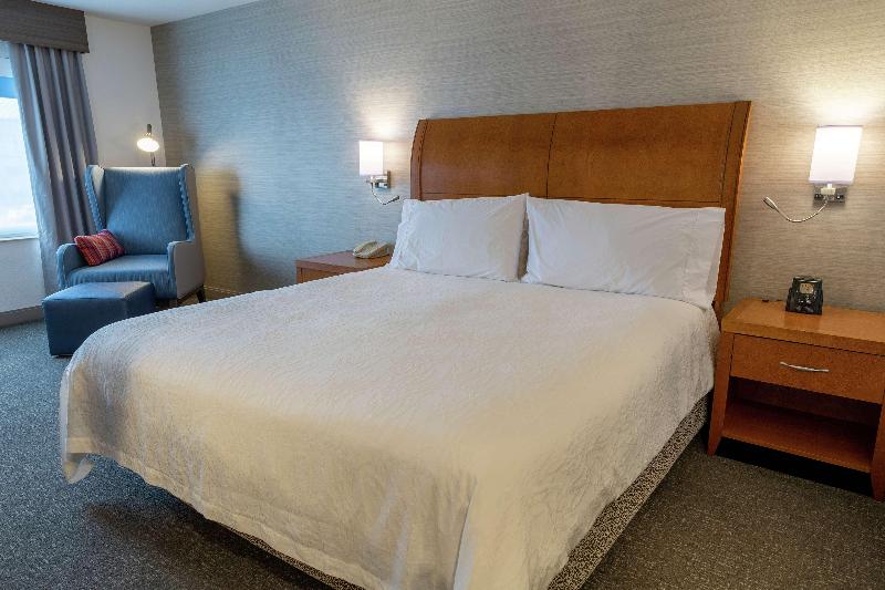 Habitació Estàndard Llit King, Hilton Garden Inn Des Moines West