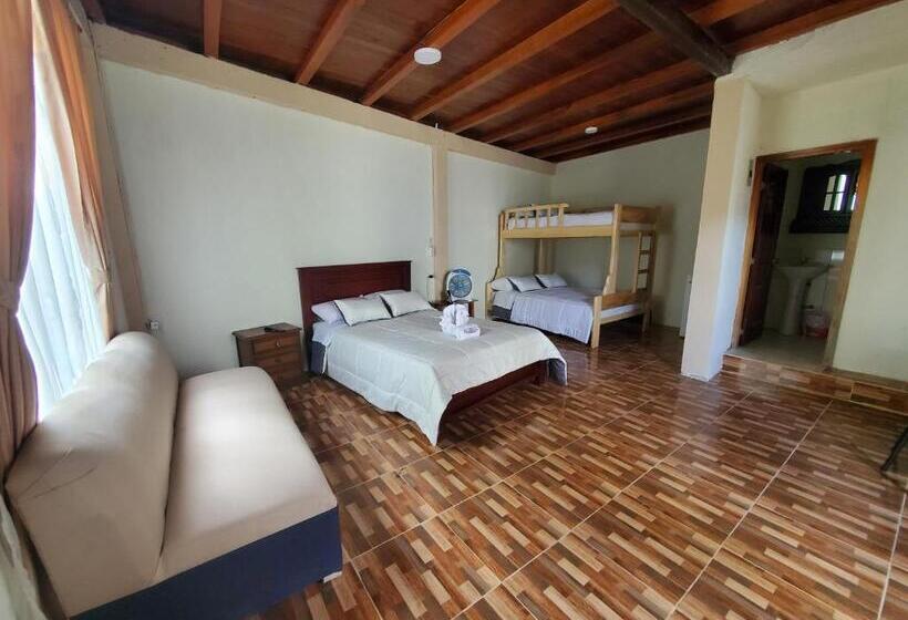 Номер Стандарт, Casa Blanca Hortencia