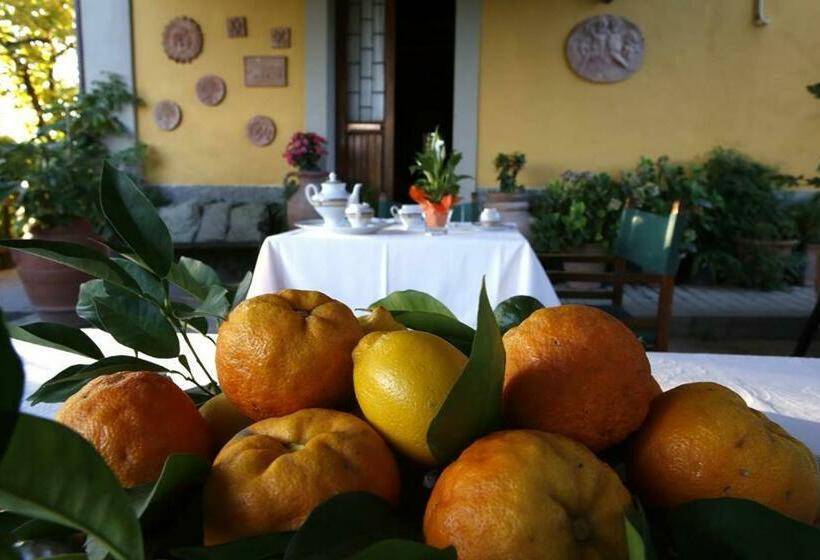 Номер Стандарт, Agriturismo Il Poggetto