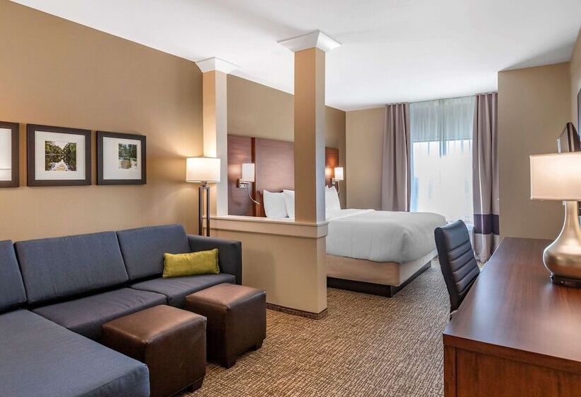 Люкс Адаптированный для Инвалидов, Comfort Inn & Suites