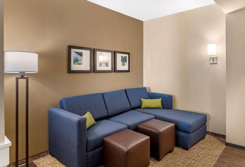 Люкс Адаптированный для Инвалидов, Comfort Inn & Suites