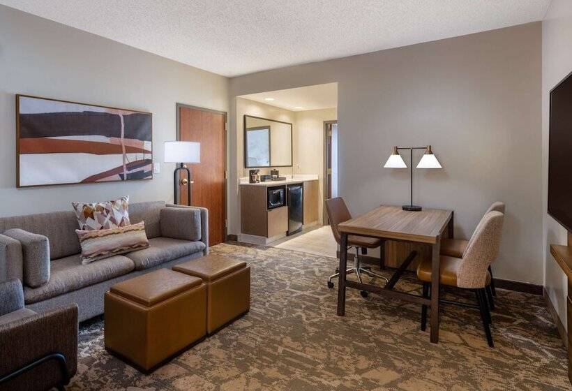 Люкс Адаптированный для Инвалидов, Embassy Suites By Hilton Albuquerque