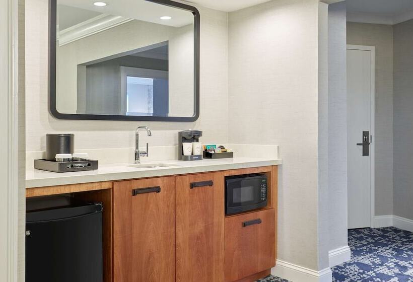سوئیت با تخت بزرگ, Embassy Suites By Hilton Washington D.c. – Convention Center