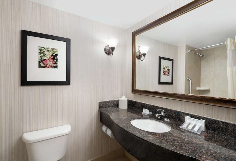 Люкс, Hilton Garden Inn Denver/highlands Ranch