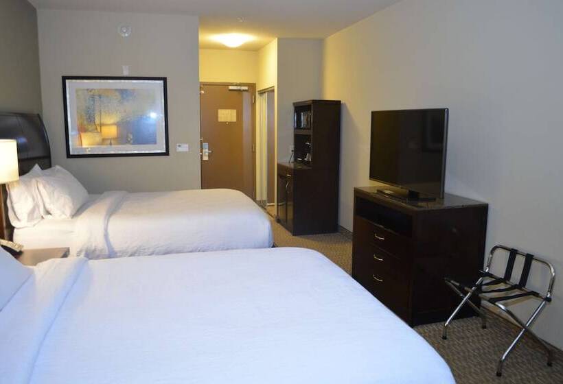스탠다드 룸, Hilton Garden Inn Houstonpearland
