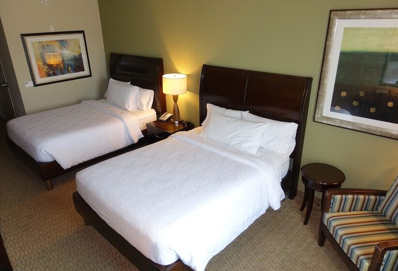 스탠다드 룸, Hilton Garden Inn Houstonpearland
