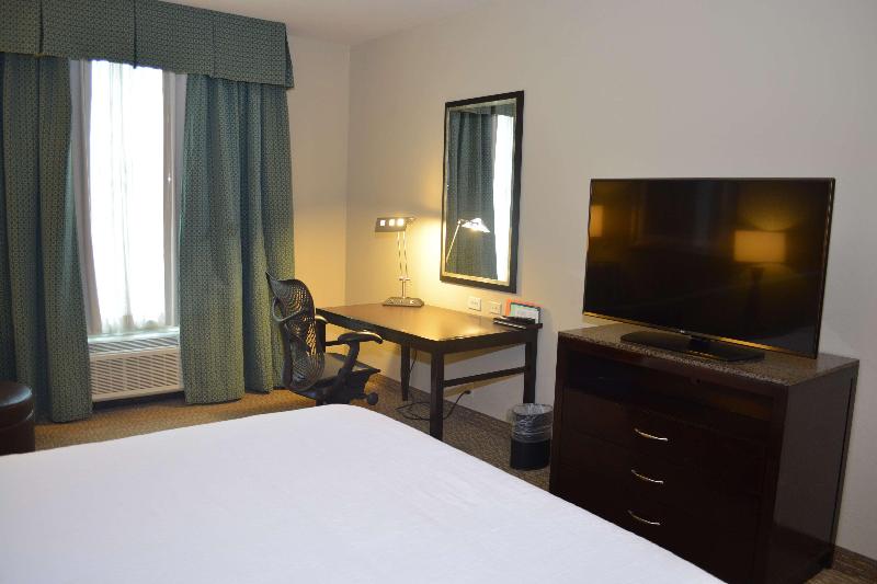스탠다드 룸 킹사이즈 침대, Hilton Garden Inn Houstonpearland