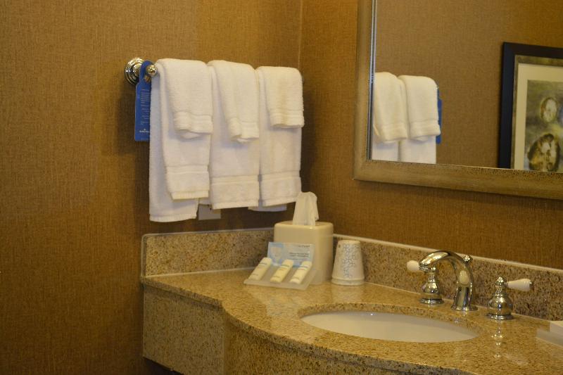 스탠다드 룸 킹사이즈 침대, Hilton Garden Inn Houstonpearland