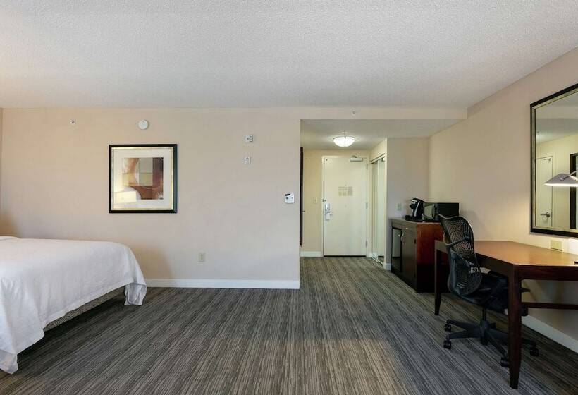 장애인을 위한 스탠다드 룸, Hilton Garden Inn Mobile West I 65/airport Blvd