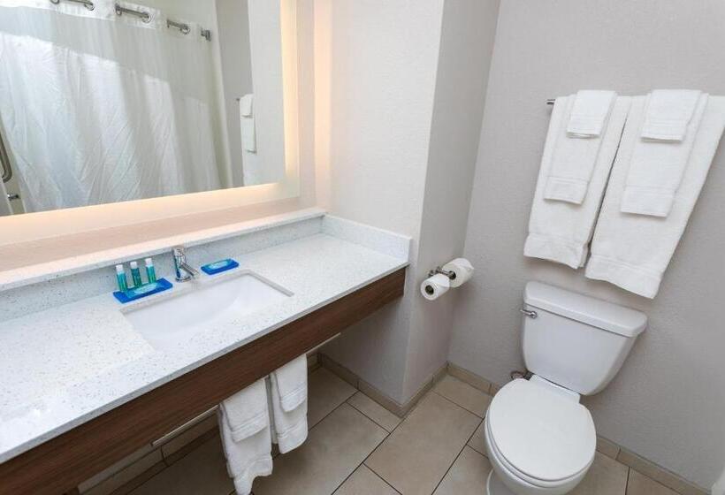 Люкс Кровать Кинг, Holiday Inn Express Hotel & Suites Athens By Ihg