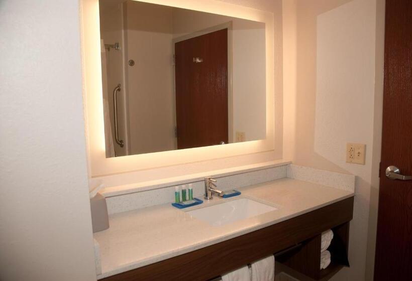 Стандартный Номер Кровать Кинг, Holiday Inn Express Hotel & Suites Athens By Ihg