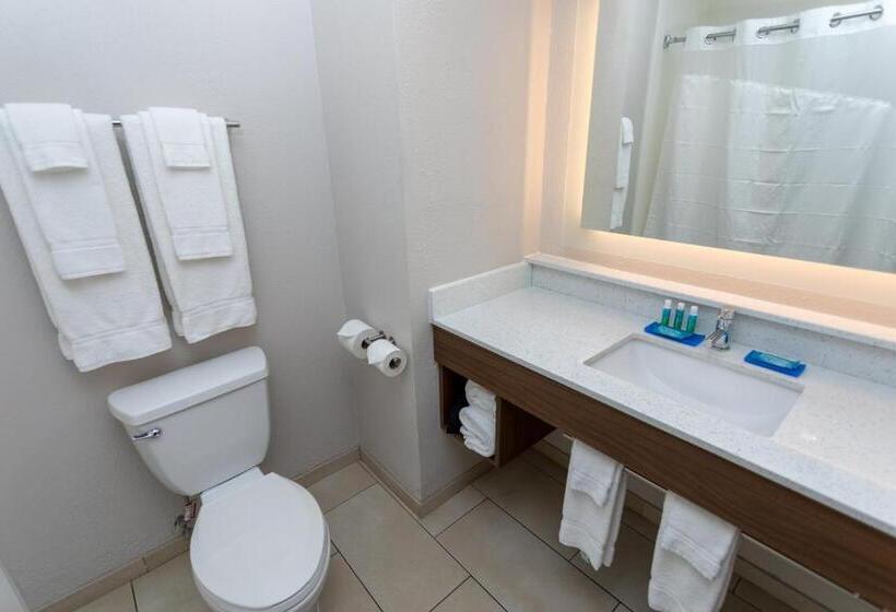 Стандартный Номер Кровать Кинг, Holiday Inn Express Hotel & Suites Athens By Ihg