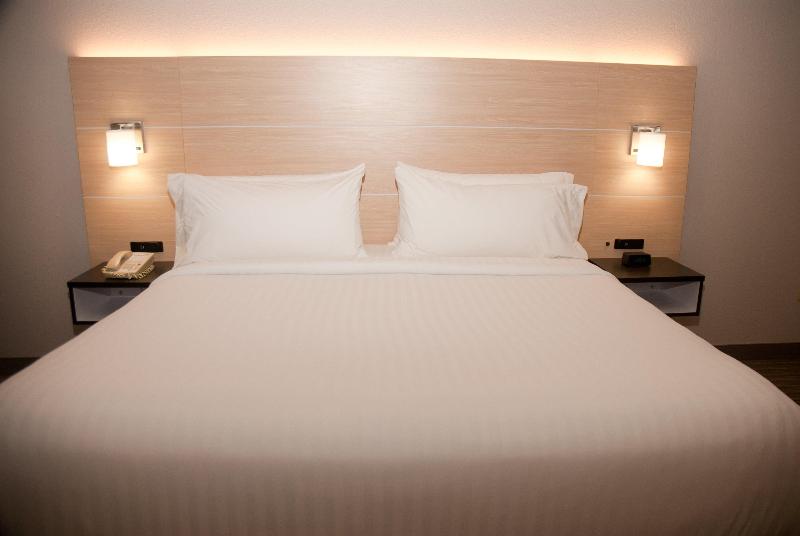 Стандартный Номер Кровать Кинг, Holiday Inn Express Hotel & Suites Athens By Ihg