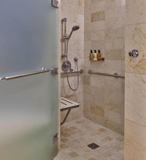 Deluxe Kamer met Uitzicht op de Bergen, The Ritz Carlton, Lake Tahoe