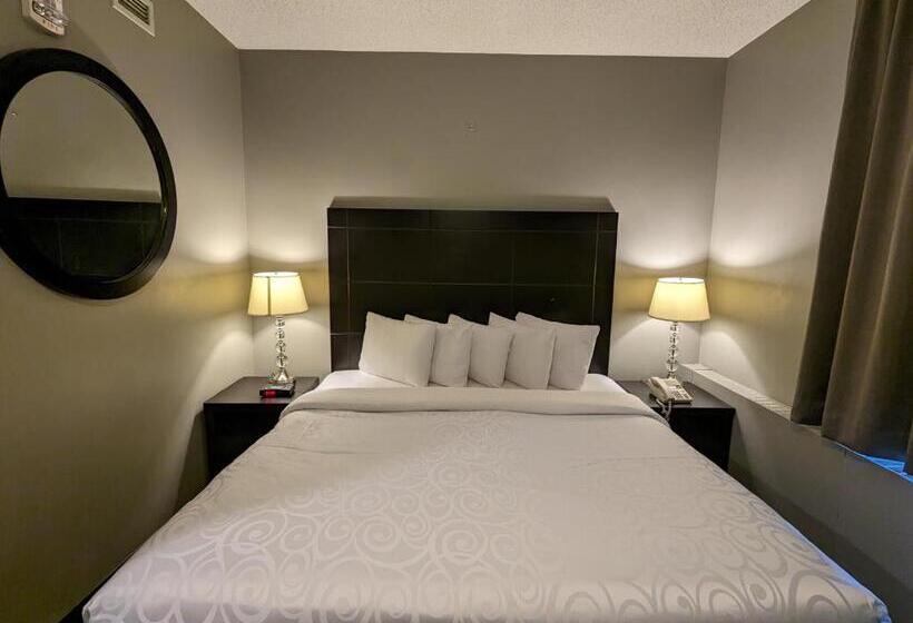 キングサイズベッドのスタンダードルーム, King Edward Hotel