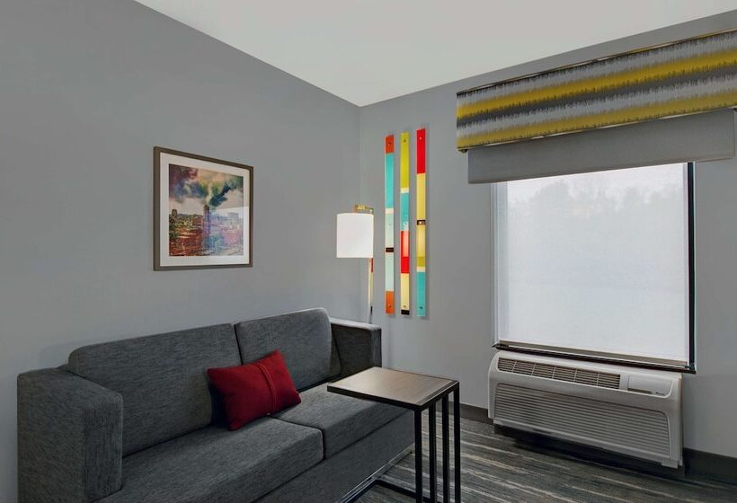 带双人床的标准工作室, Hampton Inn & Suites Syracuse Dewitt