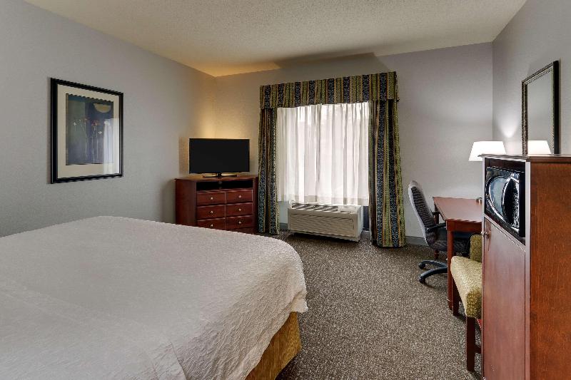 Standard Szoba King Size Bed, Hampton Inn & Suites Indianapolis Airport
