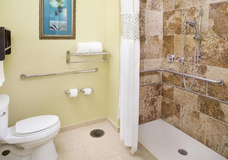 Стандартный Номер Кровать Кинг, Hampton Inn & Suites Dallas/lewisvillevista Ridge Mall, Tx