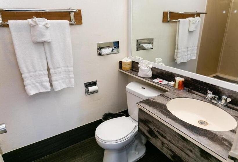 Pokój Standard Łóżko King Size, Anaheim Discovery Inn And Suites