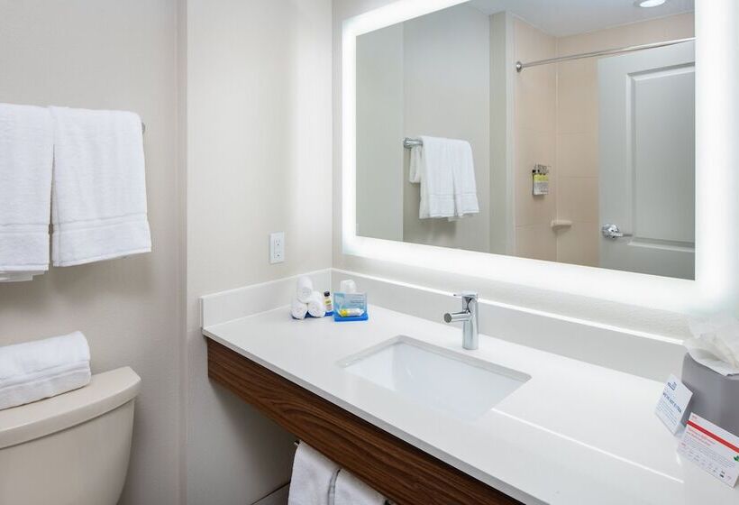 Люкс, Holiday Inn Express Hotel & Suites Dallas South   Desoto, An Ihg