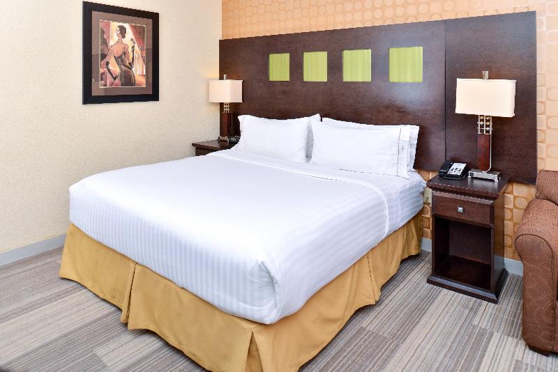 Стандартный Номер Кровать Кинг, Holiday Inn Express Hotel & Suites Dallas South   Desoto, An Ihg