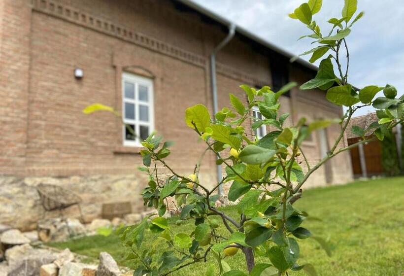 Номер Стандарт, Magtár Villa