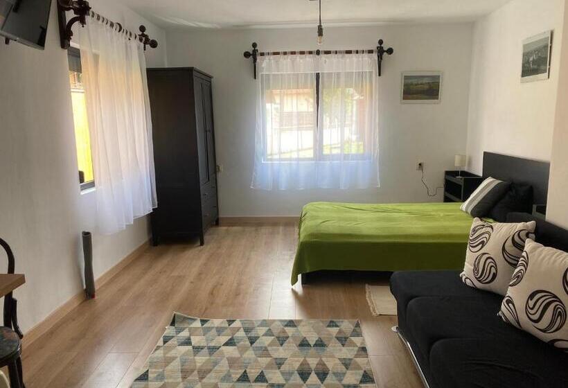 패밀리 룸, Casa De Oaspeti Anciupi Vendeghaz