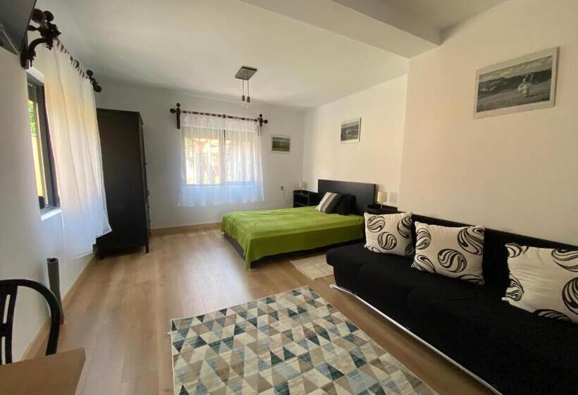 패밀리 룸, Casa De Oaspeti Anciupi Vendeghaz