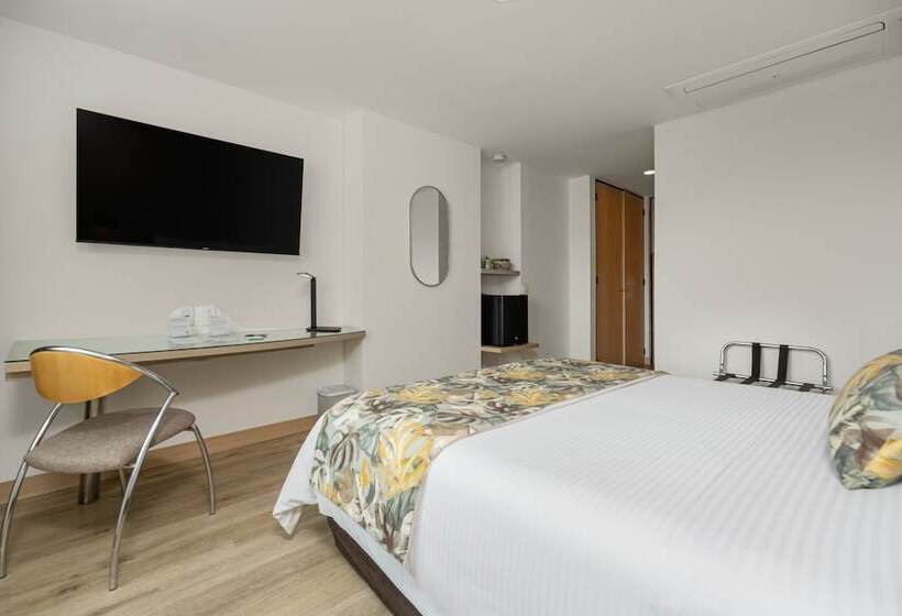 Номер Стандарт, Novelty Suites