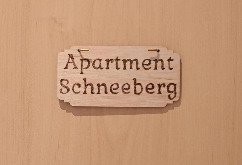 景色の見える一ベッドルームアパートメント, Waldschlössl Schneedörfl