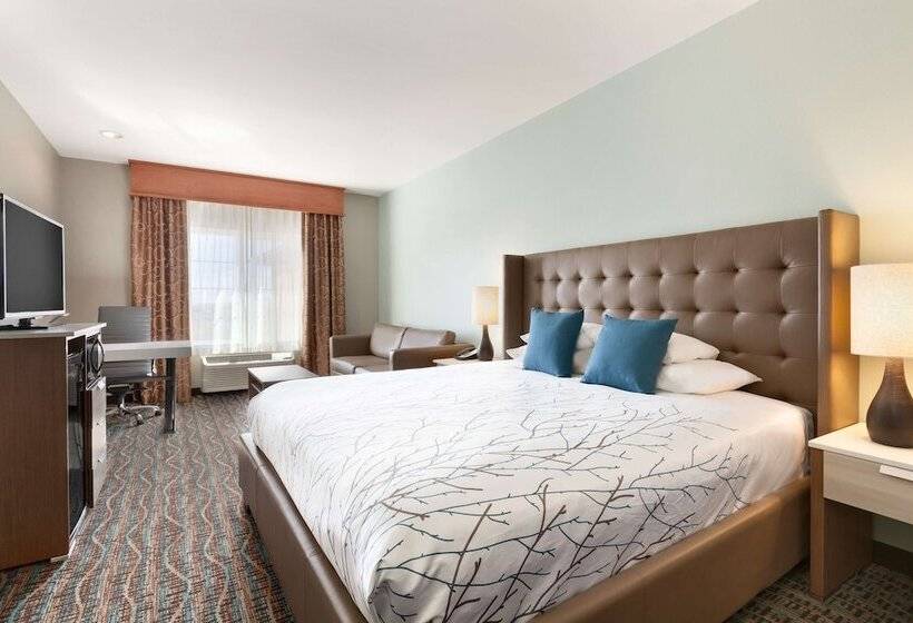 스탠다드 룸, Best Western Plus Peppertree Inn At Omak
